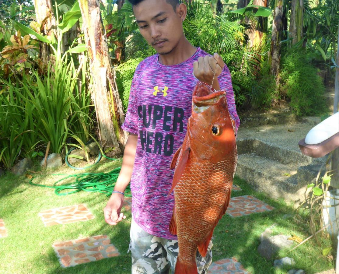 Island View Beachfront Resort Anda  Luaran gambar