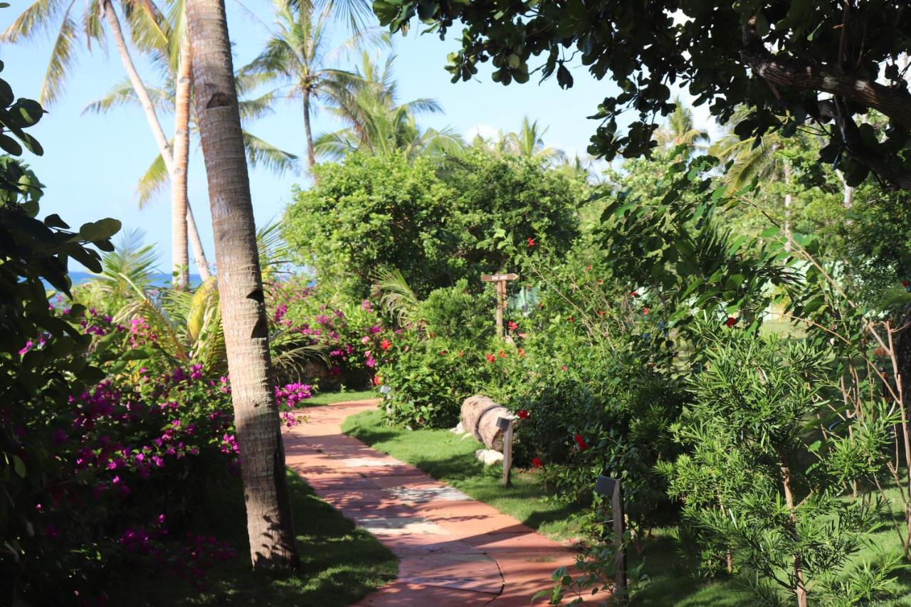Island View Beachfront Resort Anda  Luaran gambar